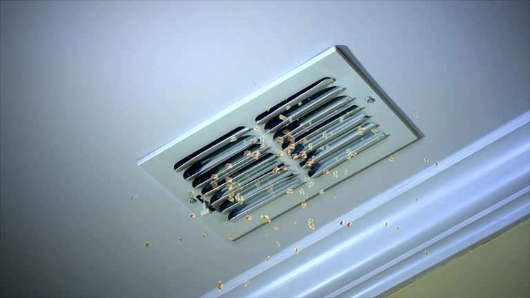 Best Affordable Duct Cleaning Services  in Houston, MS