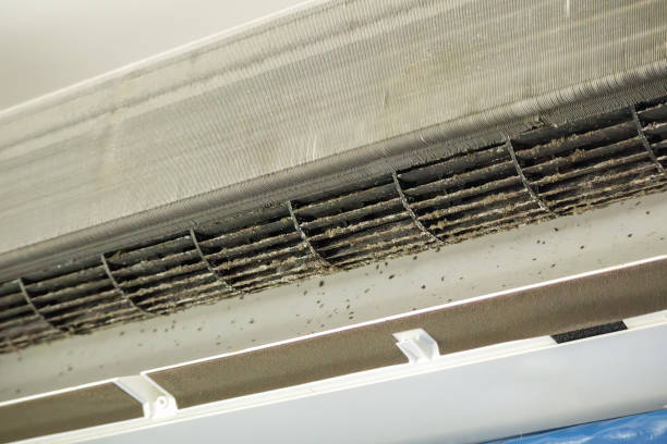 Best Local Air Duct Cleaning Services  in Houston, MS